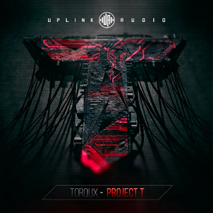 Project T (Original Mix)