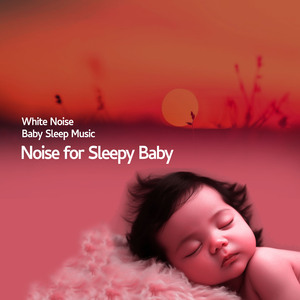 Multi Filtered White Noise