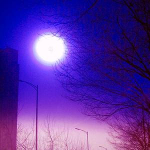 月亮之歌（翻自 许丽丽）