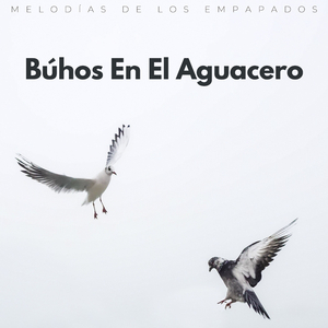 Nubes Empapadas Y Vuelos Silenciosos