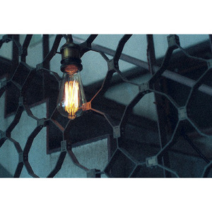 モナリザが咲く