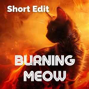 Burning Meow (Short Edit)
