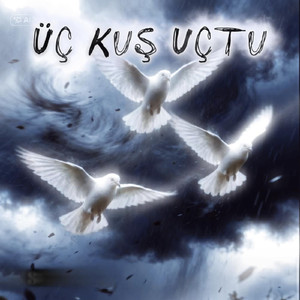 Üç Kuş Uçtu