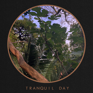 Tranquil Day (Spa Edit)