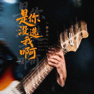是你没选我啊(烟嗓摇滚版)