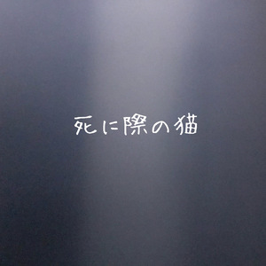 死に際の猫