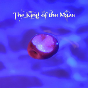 The King of the Maze