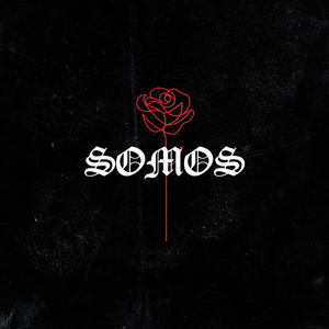 Somos