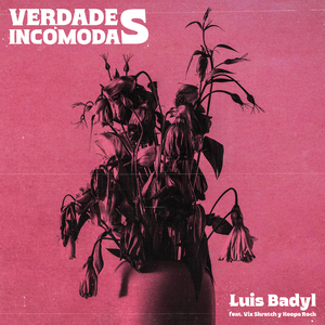 Verdades Incómodas