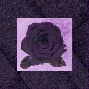 Don't Forget The Storms