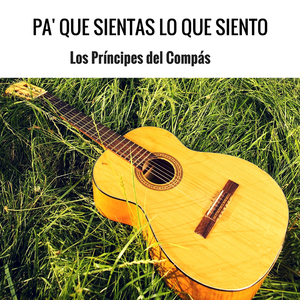 Un Saludo al Colectivero