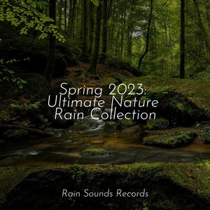 Dancing Petals Under Grey Skies