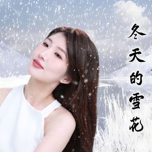 冬天的雪花