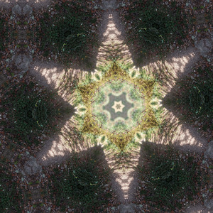 Time stays inside this piety's grace