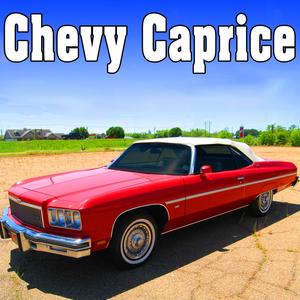 Chevy Caprice Starts, Idles & Shuts off, From Side