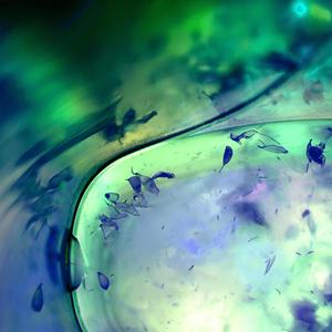 Rzeczy, których nigdy nie straciliśmy