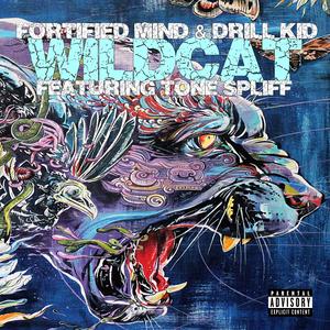Wildcat (feat. Tone Spliff & Drill Kid Productions)