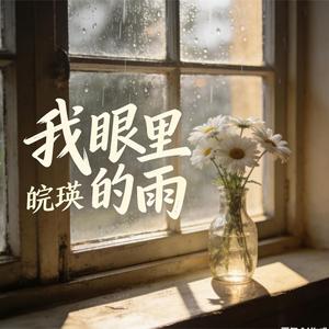 我眼里的雨(伴奏)