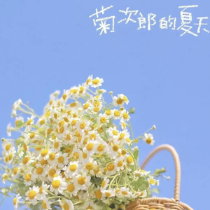 菊次郎的夏天中国风