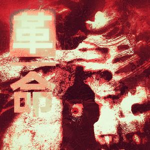 革命