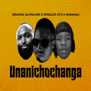 Unanichochanga