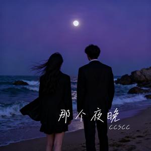那个夜晚