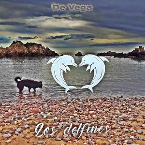 Delfines en Madrebona