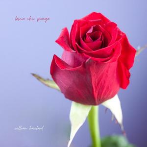 Lascia Ch'io Pianga (Piano Version) (Piano Version)