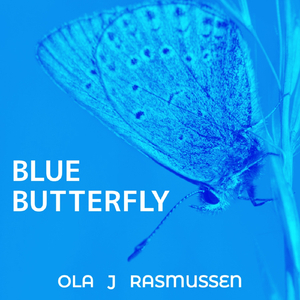 Blue Butterfly