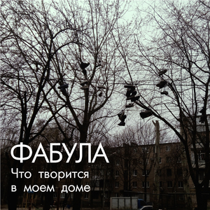 Что творится в моем доме