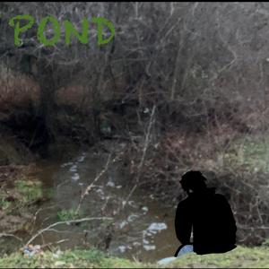 Pond