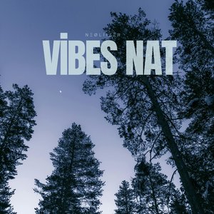 Vi̇bes Nat