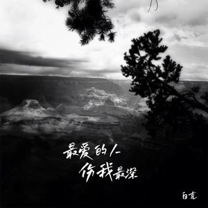 最爱的人伤我最深(伴奏)