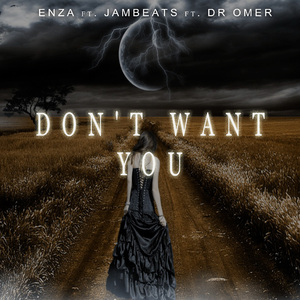 Don't Want You (feat. JamBeats & Dr Omer)