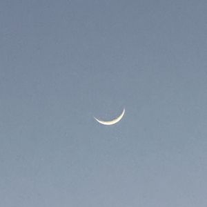 梦臆（默契的打着挚友的名义）