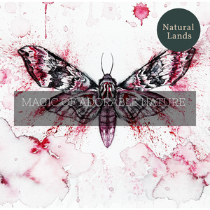 Wishful Mountain Night