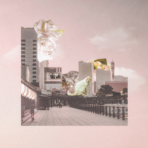 Shinjuku Rose Garden