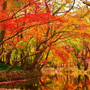 一尘不染安静的时光印象数