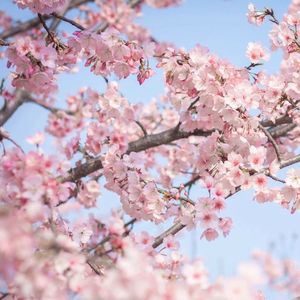 人海相惜（prod.by Morrow）