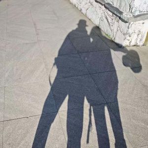 《玫瑰的骄傲》