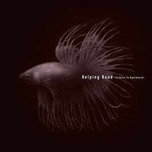 Climbing Up The Walls