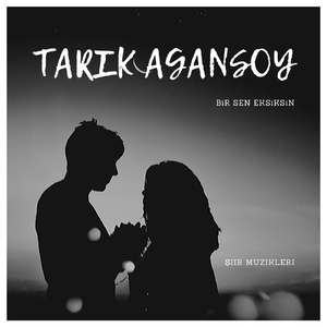 Bir Sen Eksiksin (Şiir Müzikleri)