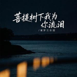 菩提树下我为你流泪(痴情版)