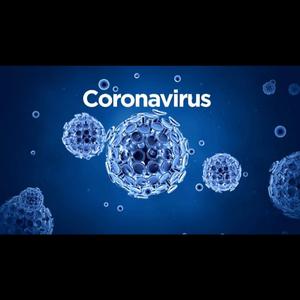 决战·新冠病毒（Coronavirus endgame）