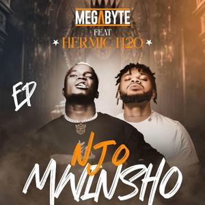 Njo Mwinsho (feat. Mega Byte)