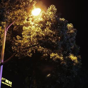 百无聊赖 prod Furyl