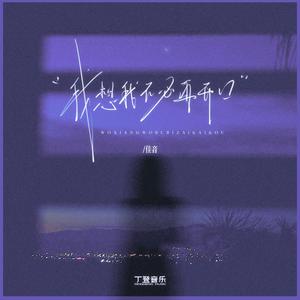 我想我不必再开口