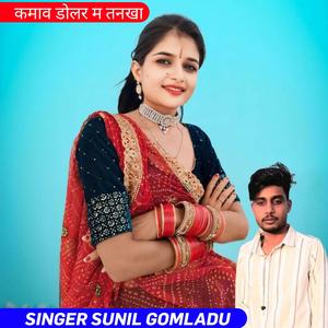 कमाव डोलर म तनखा