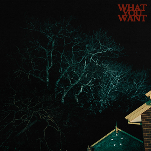 WHAT YOU WANT