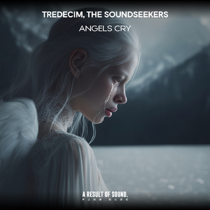 Angels Cry (Extended Mix)